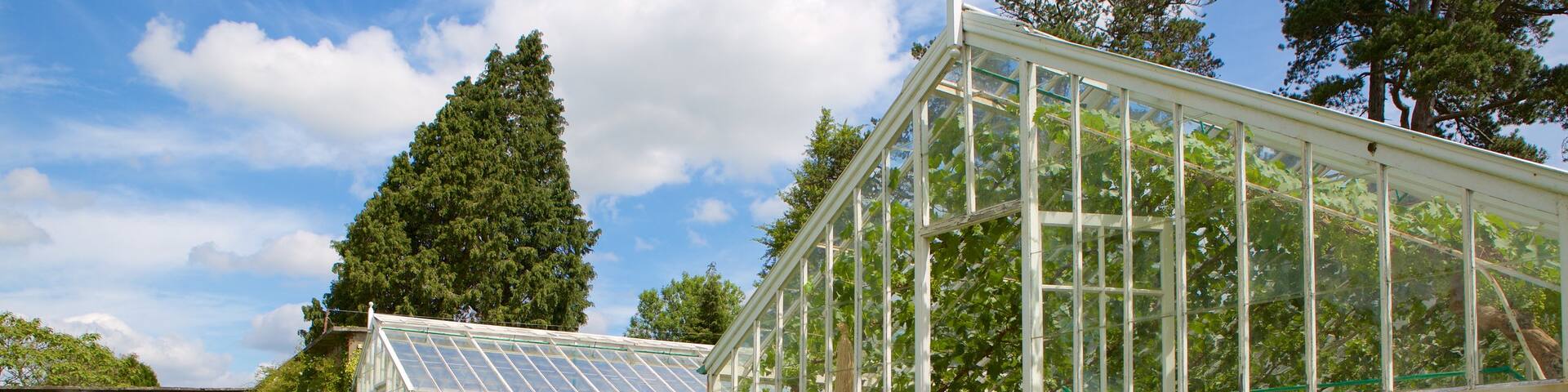 St Fagans which includes heritage elements, flowers and a garden