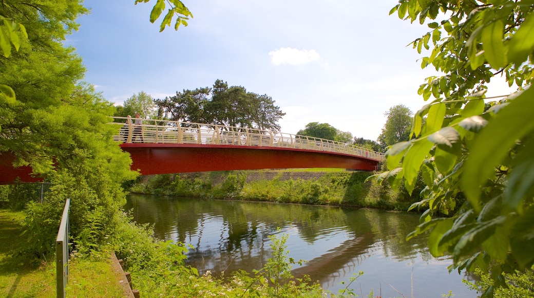 Bute Park showing a bridge and a park