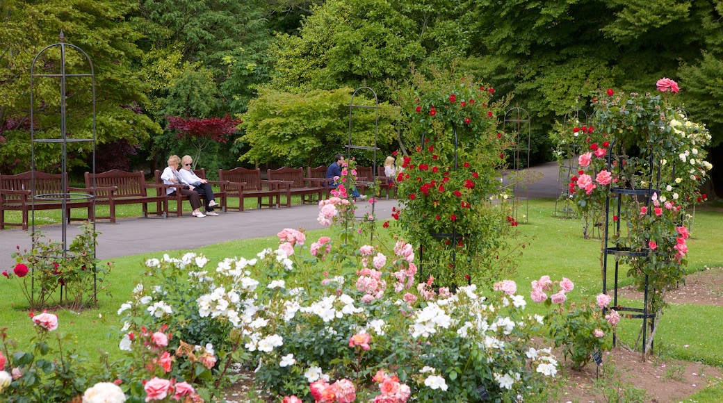 Roath Park caracterizando flores e um parque assim como um pequeno grupo de pessoas