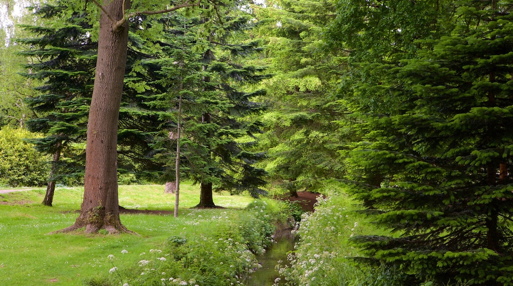 Roath Park mostrando um jardim e um rio ou córrego