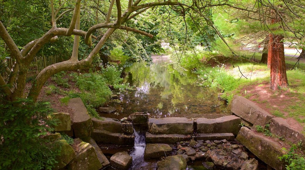 Roath Park mostrando um jardim e um rio ou córrego