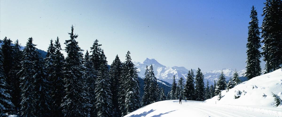 Villars ซึ่งรวมถึง สกีหิมะ, หิมะ และ ทิวทัศน์ป่า
