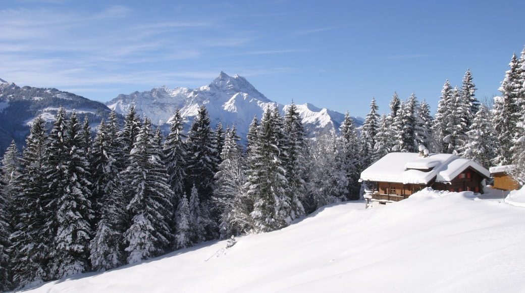 Gryon montrant neige, hôtel ou complexe de luxe et forêts