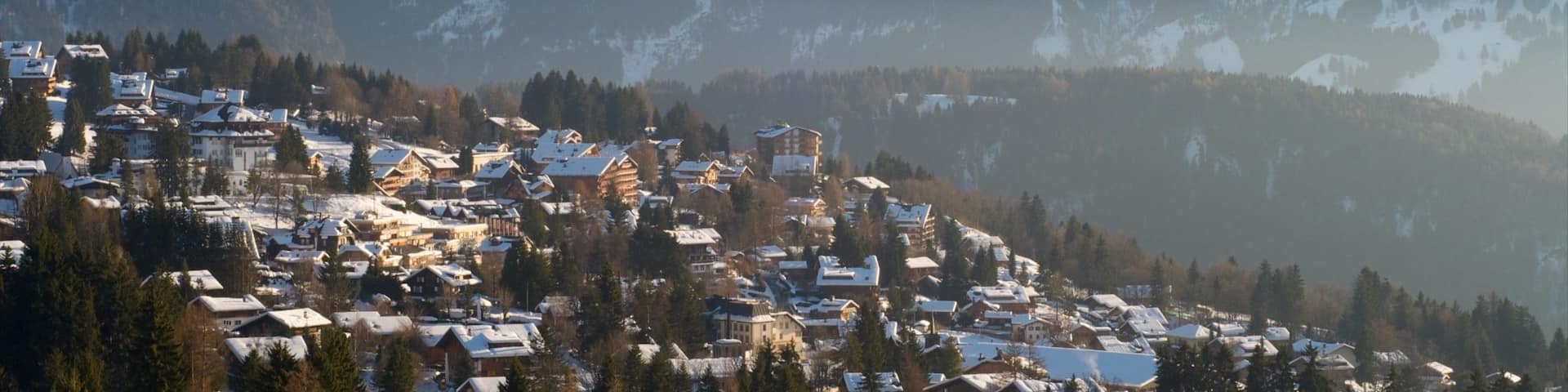 Gryon qui includes neige, montagnes et petite ville ou village