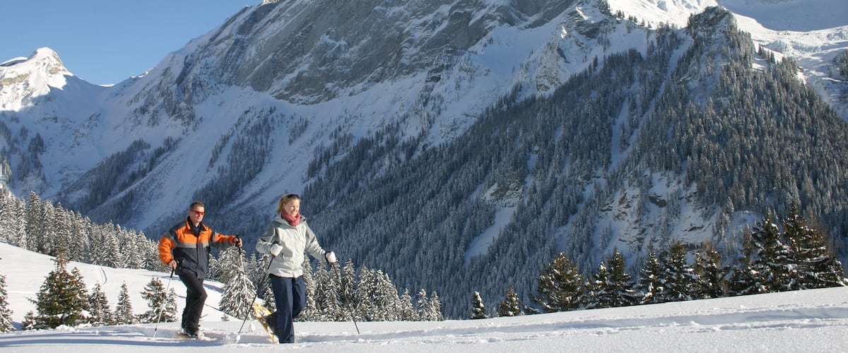 Villars ซึ่งรวมถึง หิมะ, ทิวทัศน์ป่า และ สกีครอสคันทรี