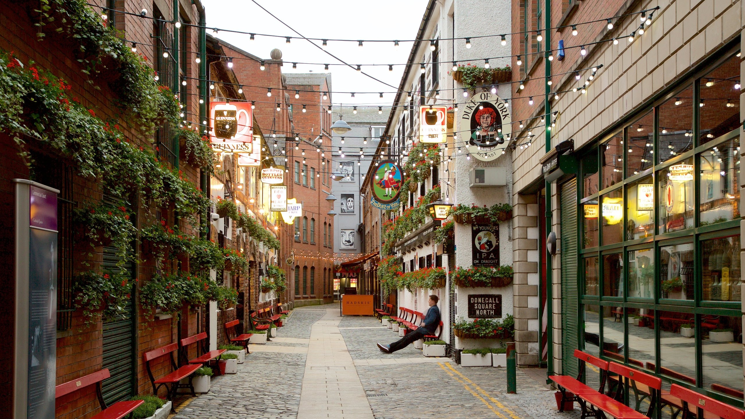 Belfast ofreciendo escenas urbanas y una ciudad y también un hombre