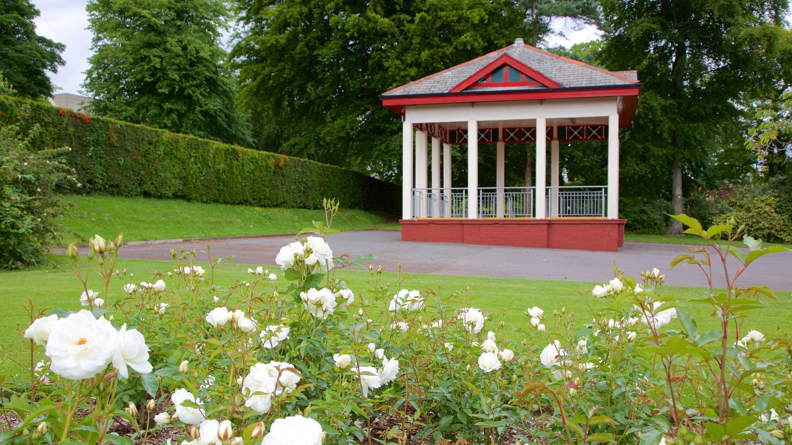 Belfast Botanic Gardens in Belfast Expedia