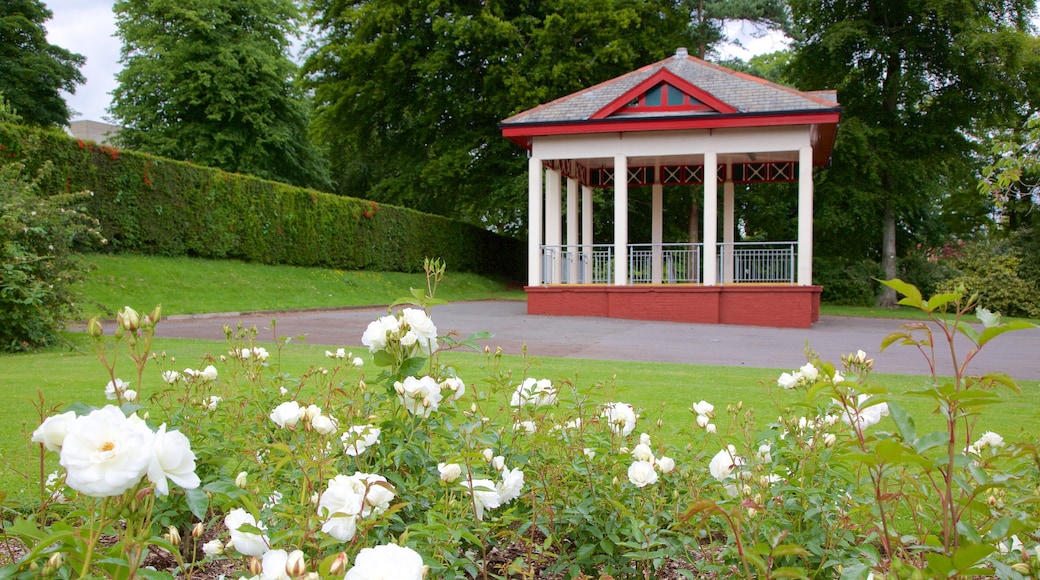 Belfast Botanic Gardens in Belfast | Expedia