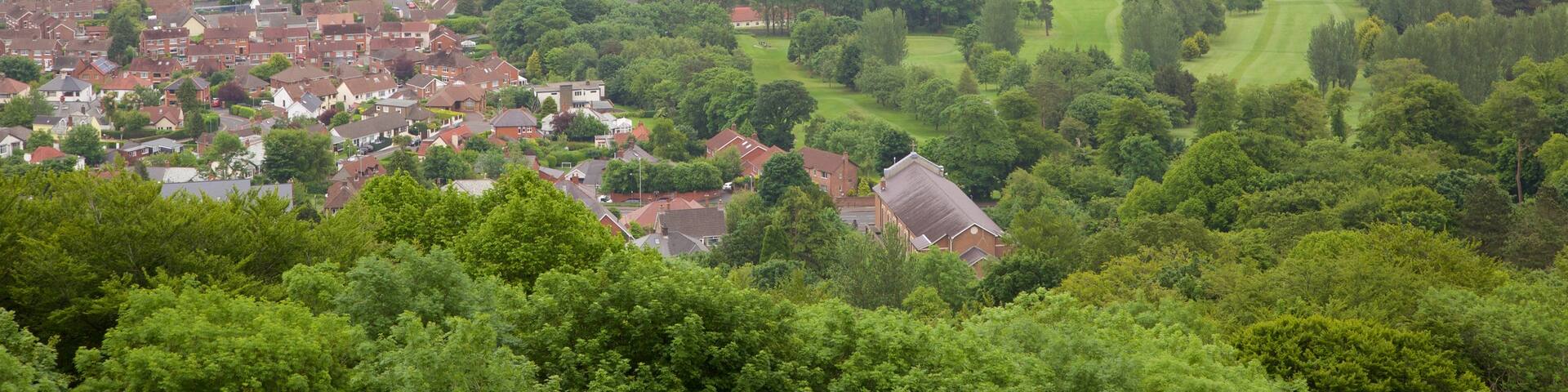 Cave Hill Country Park showing a park and a lake or waterhole