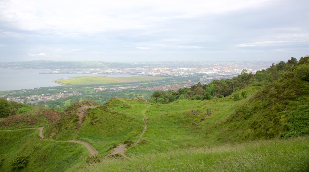 Cave Hill Country Park som inkluderar en park