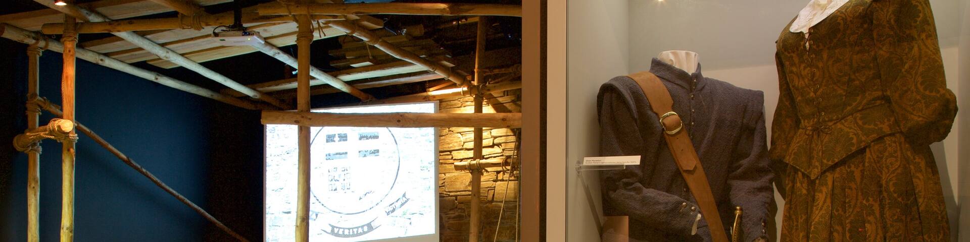 Tower Museum showing interior views