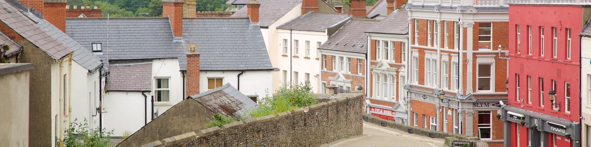 Derry City Walls showing a city and street scenes
