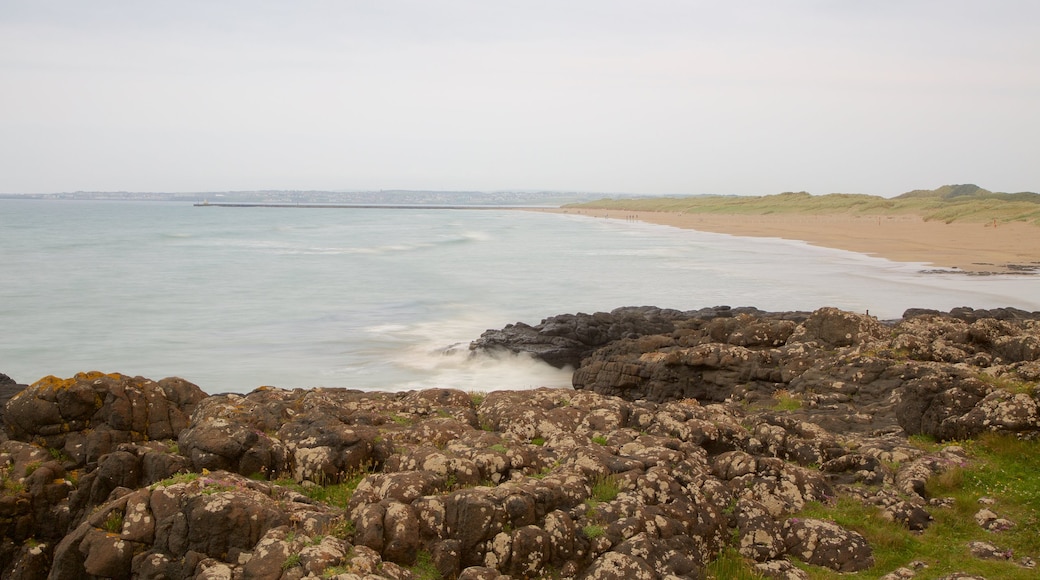 Playa de Castlerock que incluye litoral accidentado, una playa y vistas de una costa