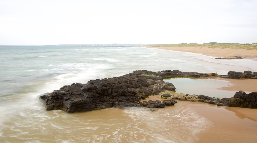 Playa de Castlerock que incluye costa escarpada, una playa de arena y vistas generales de la costa