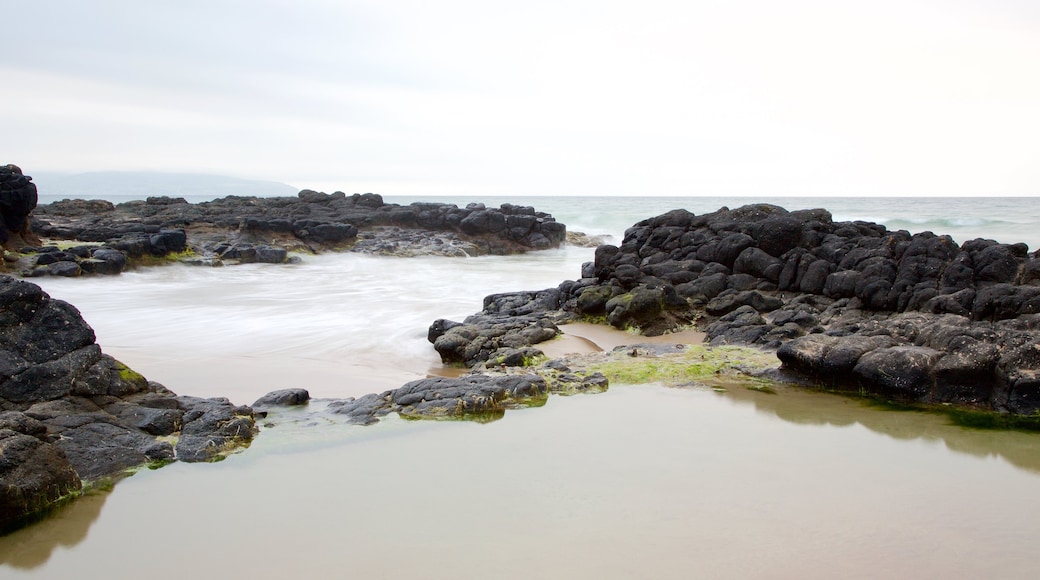 Playa de Castlerock ofreciendo vistas generales de la costa, costa rocosa y una playa de arena