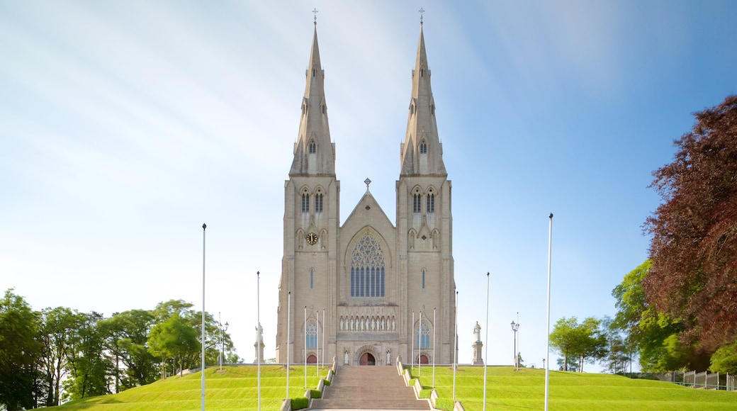 St. Patrick Cathedral som visar en kyrka eller katedral, historiska element och historisk arkitektur