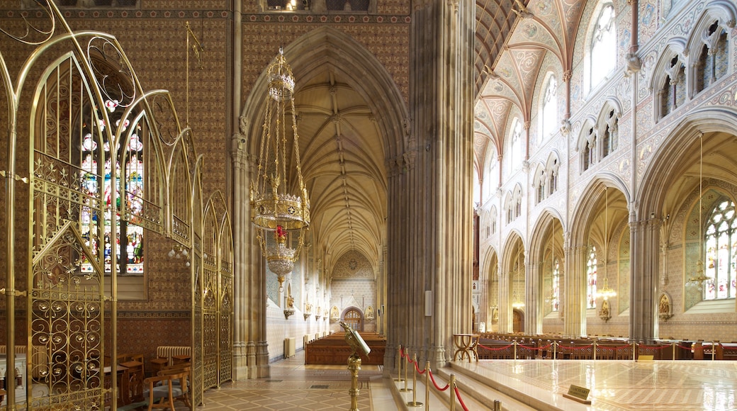 St. Patrick Cathedral som inkluderar interiörer, en kyrka eller katedral och historisk arkitektur