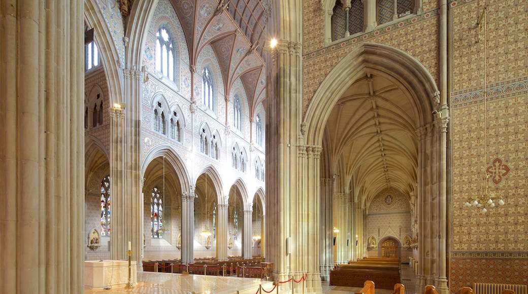 St. Patrick\'s Cathedral which includes interior views, heritage elements and heritage architecture