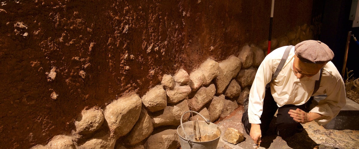 Navan Fort and Visitor Centre showing interior views as well as an individual male