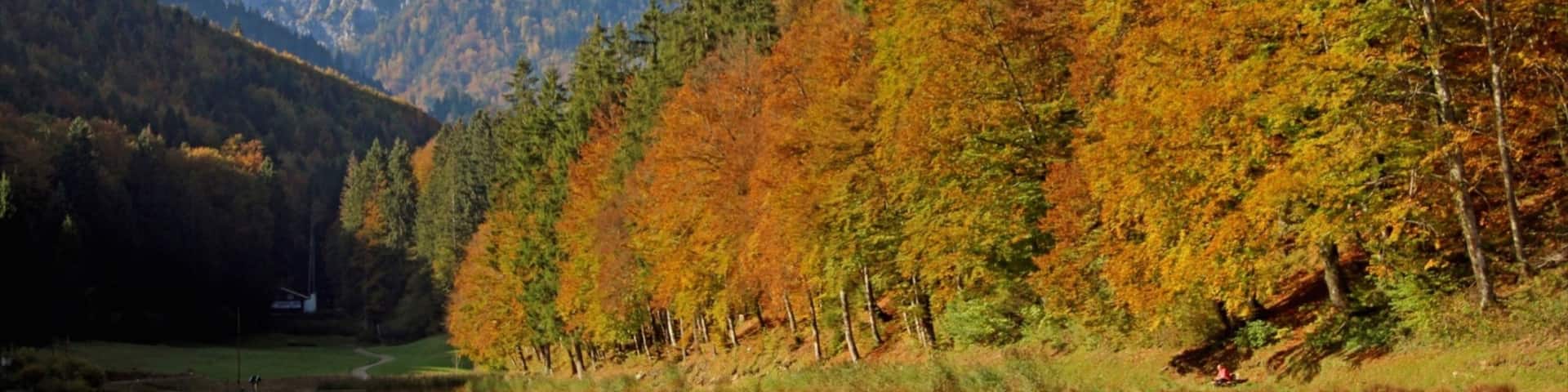Garmisch-Partenkirchen das einen Herbstblätter, Fluss oder Bach und Berge