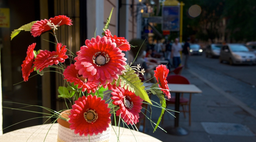 Sallustiano das einen Blumen und Straßenszenen