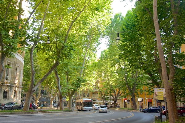 Via Veneto showing street scenes and a city