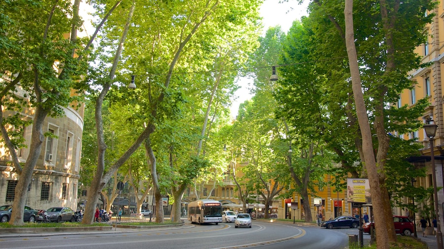 Via Veneto showing street scenes and a city