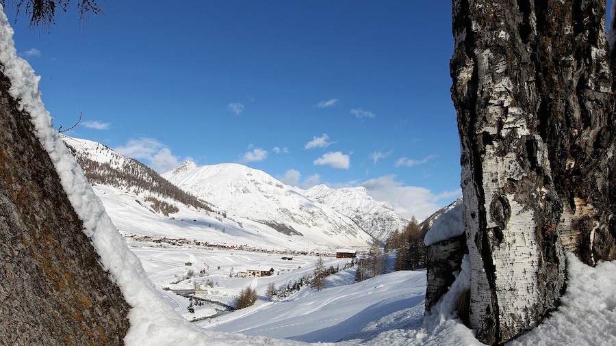 Livigno Ski Area which includes snow, tranquil scenes and mountains