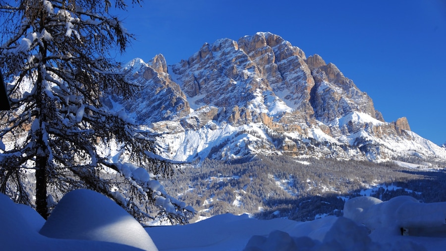 Station de ski de Cortina d\'Ampezzo qui includes montagnes et neige