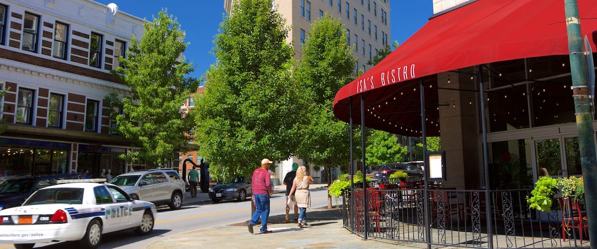 Asheville caracterizando uma cidade e cenas de rua assim como um pequeno grupo de pessoas