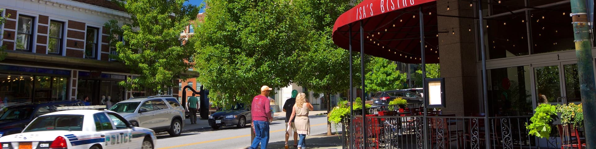 Asheville featuring street scenes and a city as well as a small group of people