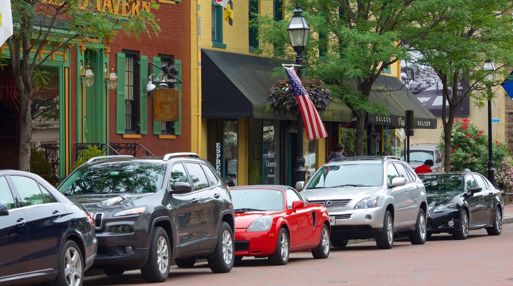 Annapolis que incluye escenas cotidianas y una ciudad