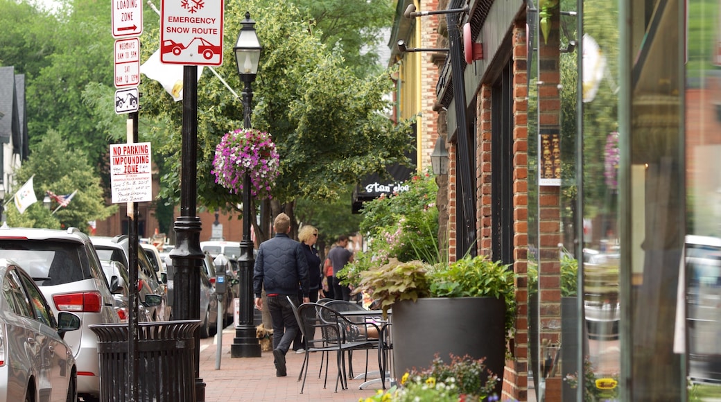 Annapolis mostrando escenas cotidianas y una ciudad y también un grupo pequeño de personas