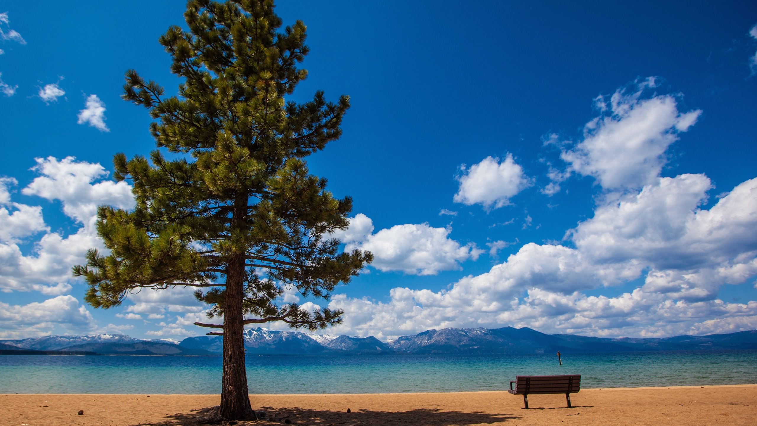 Heavenly Ski Resort showing a sandy beach and a lake or waterhole