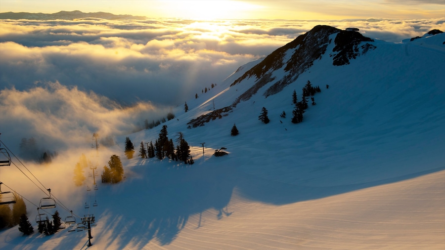 Squaw Valley Resort bevat bergen, sneeuw en een gondel
