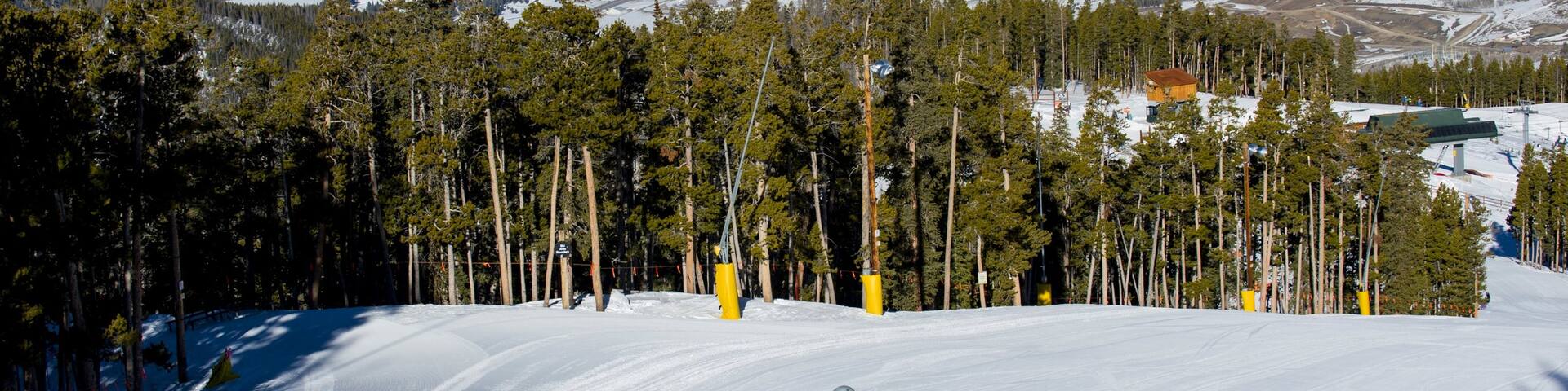 Keystone Ski Resort showing forest scenes, snow and snow skiing