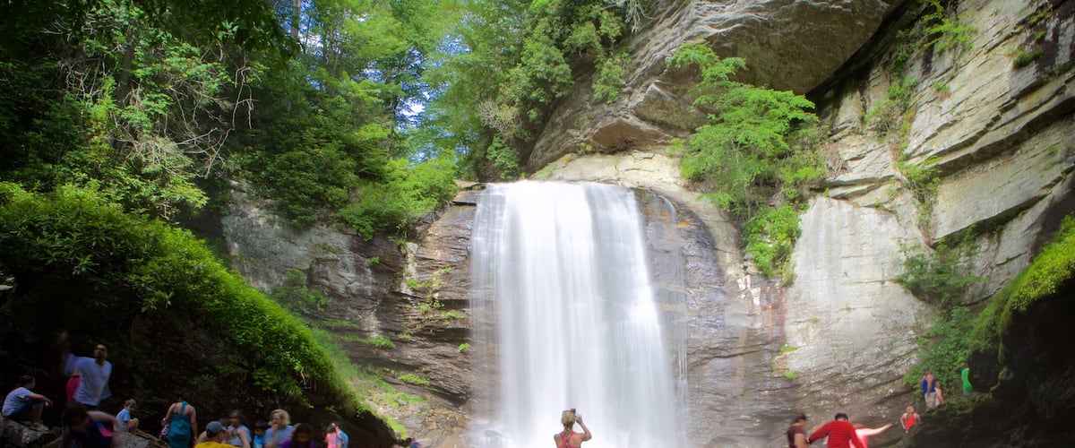 North Carolina featuring a river or creek, a cascade and forest scenes