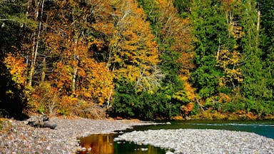 Washington Coast featuring a pebble beach, autumn leaves and a river or creek
