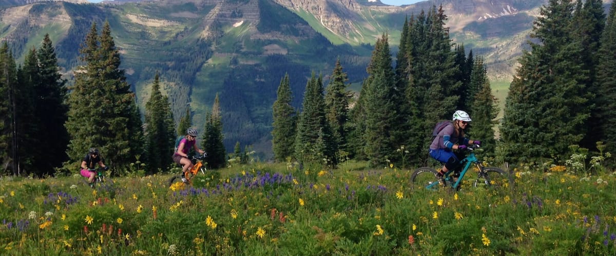 Gunnison - Crested Butte which includes tranquil scenes, wild flowers and landscape views