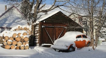 Breckenridge Ski Resort som visar snö och ett hus