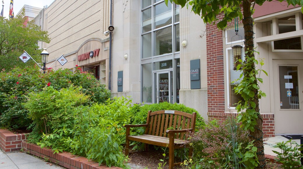 Salisbury montrant jardin