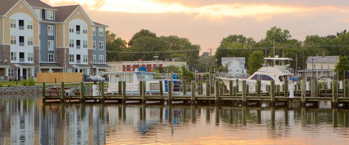 Salisbury featuring a marina, a sunset and a bay or harbour