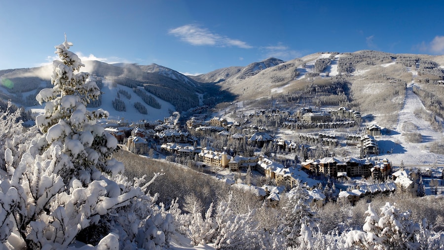 Beaver Creek