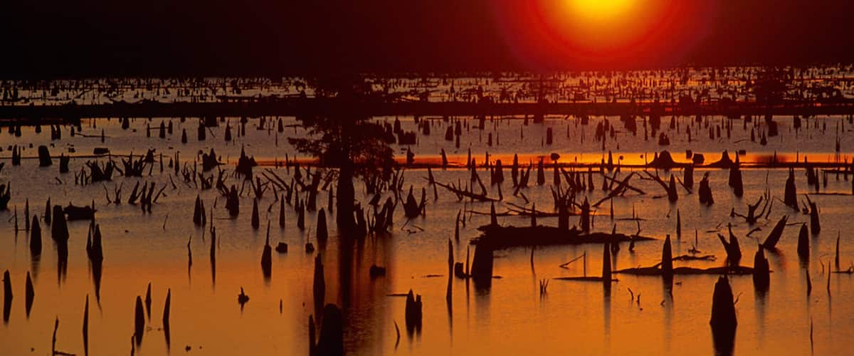 Conway showing a lake or waterhole and a sunset