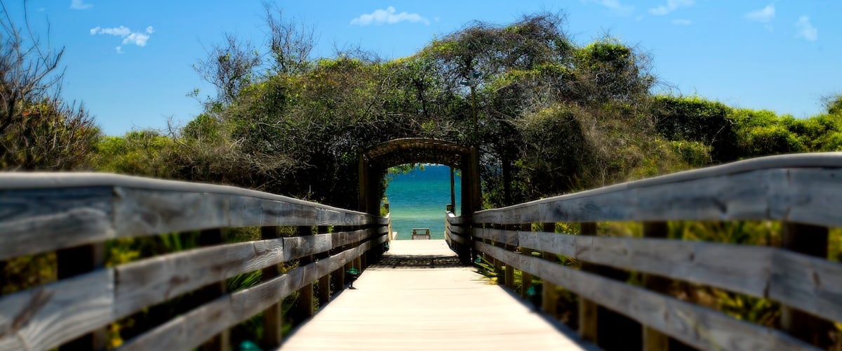 Seagrove Beach which includes general coastal views and a bridge