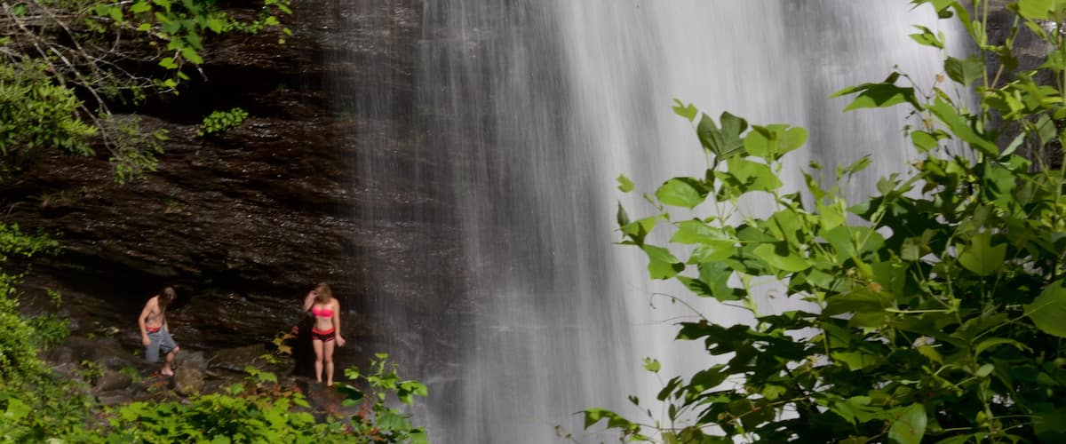 Pisgah Forest which includes swimming, a waterfall and forest scenes
