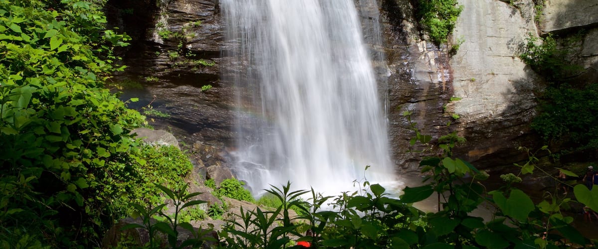 Pisgah Forest featuring a waterfall and forests