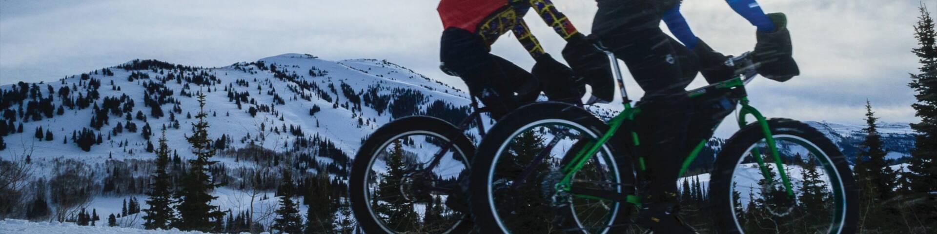 Grand Targhee Resort which includes mountain biking and snow as well as a couple