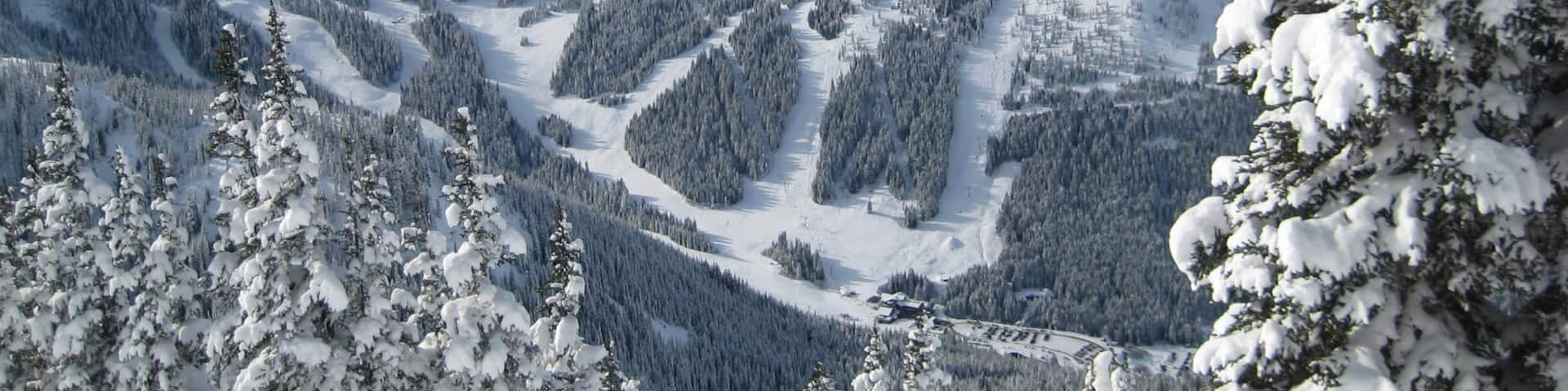 クリスタル マウンテン スキー場 表示 自然の風景, 山々 と 雪