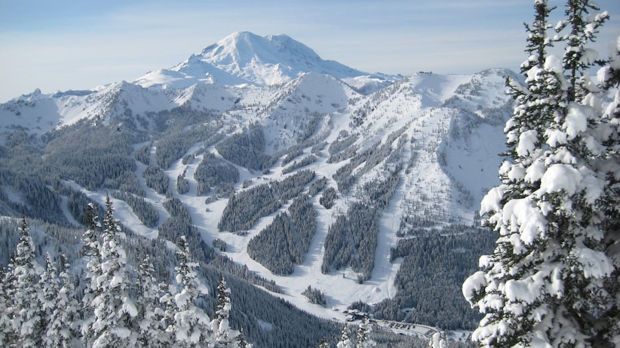 Crystal Mountain Ski Area showing mountains, forests and snow